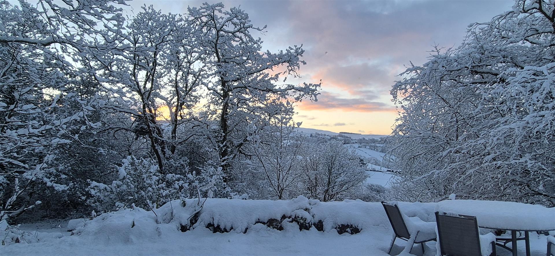 snow 2.jpg